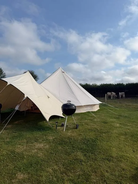 Two tents and a charcoal BBQ with cattle grazing beyond the fence