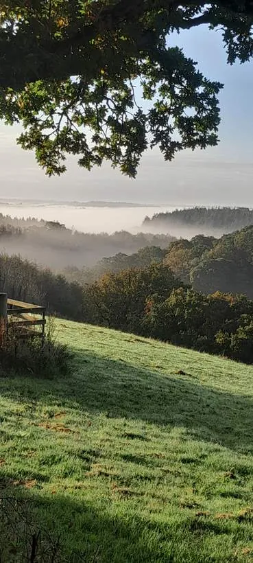 Mist settling over the wooded valley on an autumn morning