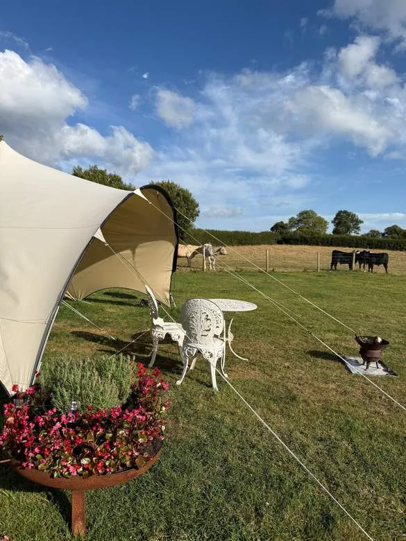 A canopy tent with flowers and cattle grazing in the next field